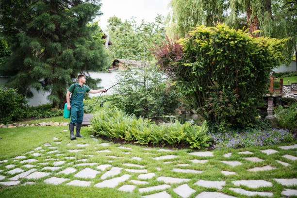 Pest Prevention Services in Laurel, MD