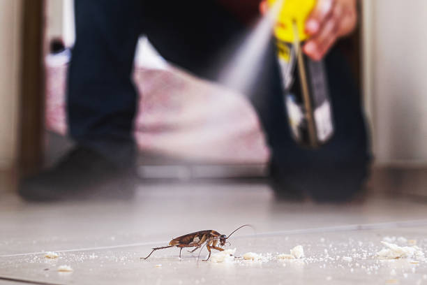 Best Pest Control Treatment  in Laurel, MD