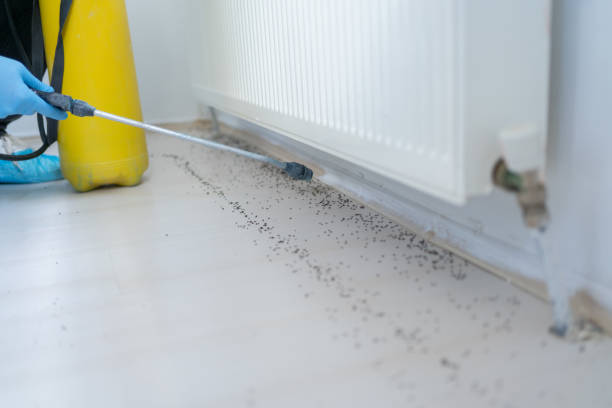 Best Residential Pest Control  in Laurel, MD